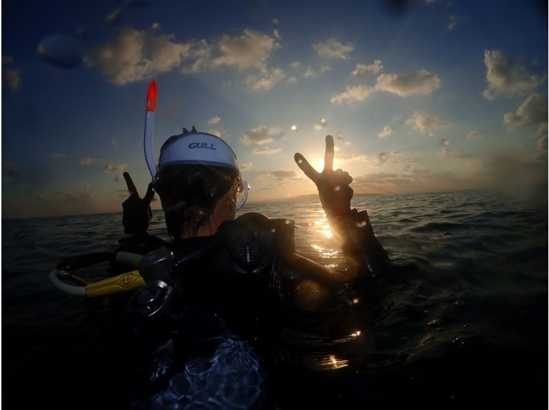 【沖縄・石垣島】ナイトダイビング！ライトが照らす未知なる海への紹介画像