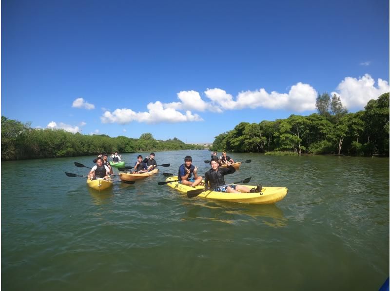 【沖縄・億首川】1組貸切コース！写真動画データプレゼント★2才から参加可能！★マングローブの森をのんびり楽しむエコツアー！の紹介画像