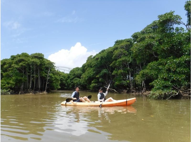 【沖縄・億首川】1組貸切コース！写真動画データプレゼント★2才から参加可能！★マングローブの森をのんびり楽しむエコツアー！の紹介画像