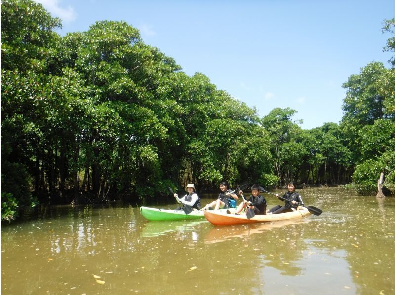 【沖縄・億首川】1組貸切コース！写真動画データプレゼント★2才から参加可能！★マングローブの森をのんびり楽しむエコツアー！の紹介画像