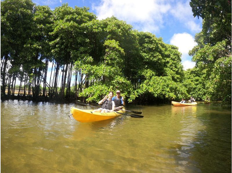 【沖縄・億首川】1組貸切コース！写真動画データプレゼント★2才から参加可能！★マングローブの森をのんびり楽しむエコツアー！の紹介画像
