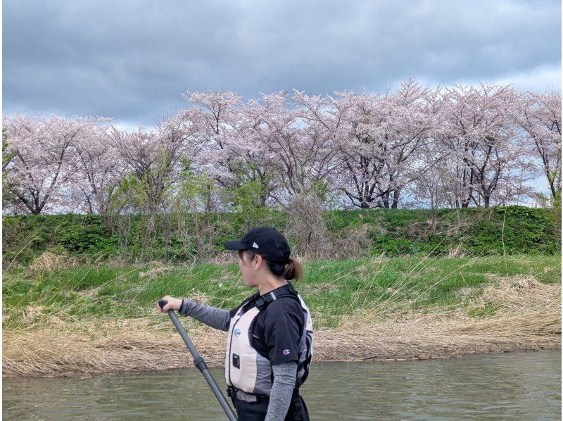 【北海道・余市町】お花見SUP｜特別割引開催｜初めての方も必見！｜JSPA公認ガイドがご案内｜北海道の自然を感じるSUPツアーの紹介画像
