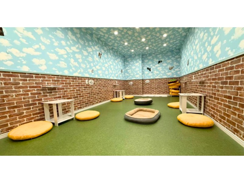 【大阪・城東区】マイクロブタとのふれあい体験〜屋内なので雨の日も安心！来客用駐車場完備！の紹介画像