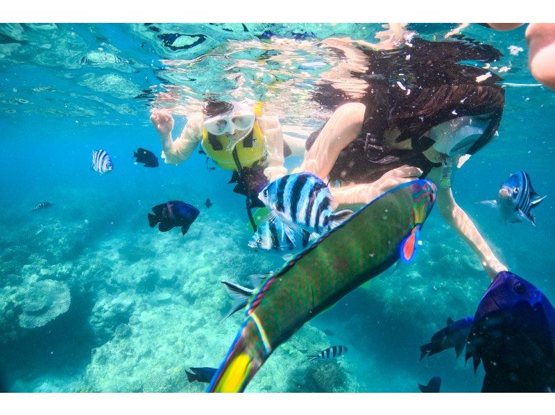 那覇から35分【沖縄/北谷】シュノーケル＆釣り❤️セットメニュー❤️当日⭕フライト前後も参加OK⭕写真動画無料タオルサンダル無料⭕手ぶら⭕の紹介画像