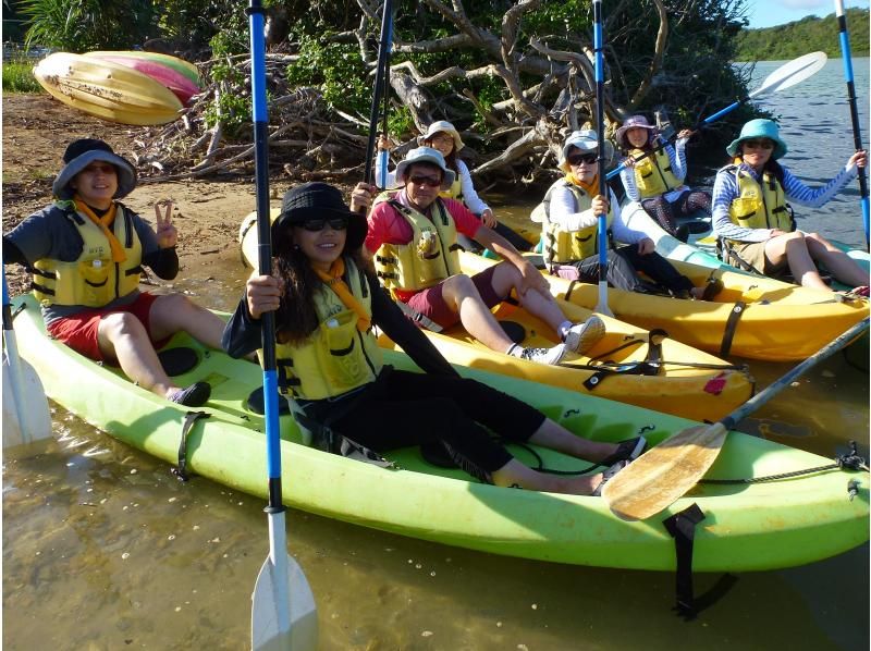 【沖縄・今帰仁】【マングローブカヤック体験 1時間30分】3才から マングローブ域でカヤックを体験！美ら海水族館と古宇利島へのアクセスも便利の紹介画像