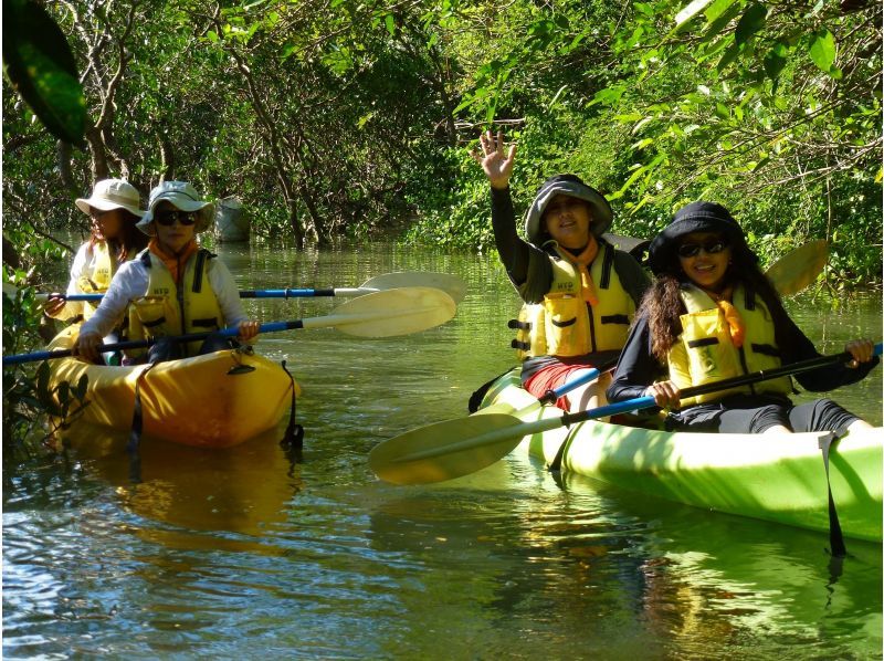 【沖縄・今帰仁】【マングローブカヤック体験 1時間30分】3才から マングローブ域でカヤックを体験！美ら海水族館と古宇利島へのアクセスも便利の紹介画像