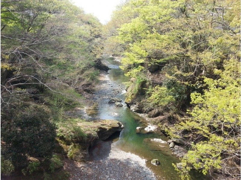 【埼玉・秩父】秩父札所午歳総開帳記念・秩父札所巡礼ラン（札所一番〜十二番）の紹介画像