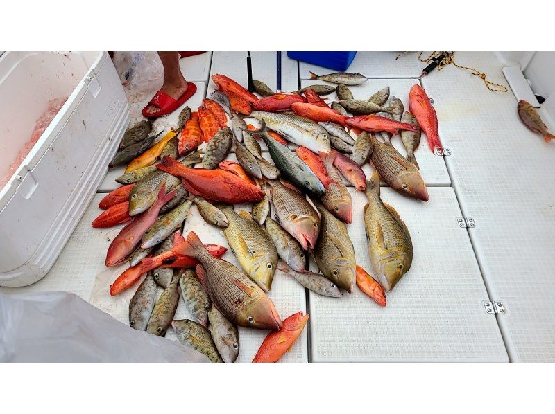 【宜野湾港マリーナ発】中型クルーザーで行く沖釣り体験！手ぶらでOK！≪初心者・お一人様・カップル・ファミリー・友人・女性にオススメ≫の紹介画像