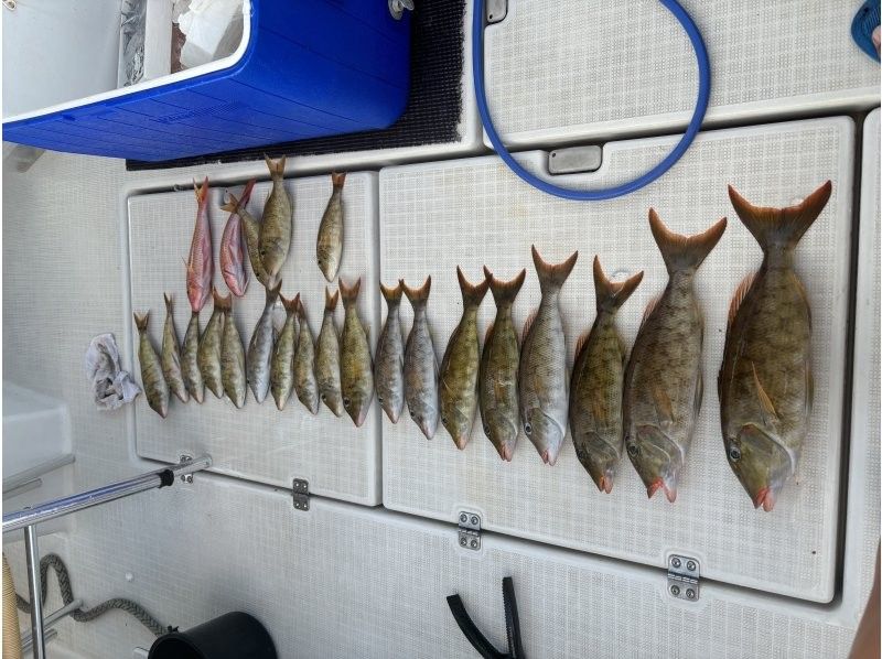 【宜野湾港マリーナ発】中型クルーザーで行く沖釣り体験！手ぶらでOK！≪初心者・お一人様・カップル・ファミリー・友人・女性にオススメ≫の紹介画像