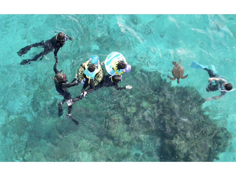 【沖縄・宮古島(伊良部島)】保育士ガイドによる1組限定の貸切ウミガメシュノーケルツアー（ツアー後の預かり保育も可）の紹介画像