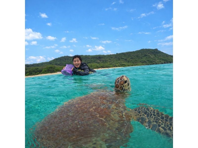 【沖縄・宮古島(伊良部島)】保育士ガイドによる1組限定の貸切ウミガメシュノーケルツアー（ツアー後の預かり保育も可）の紹介画像