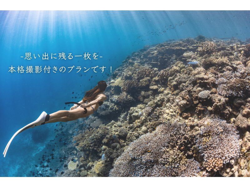 完全貸切・初心者OK・スキンダイビング(素潜り)コース⭐️【プロ仕様の本格撮影付き！ロングフィンレンタル有り！】沖縄北部・瀬底島・水納島の紹介画像