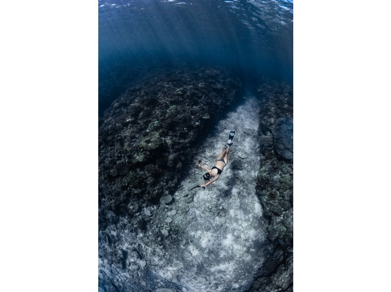 完全貸切・初心者OK・スキンダイビング(素潜り)コース⭐️【プロ仕様の本格撮影付き！ロングフィンレンタル有り！】沖縄北部・瀬底島・水納島の紹介画像