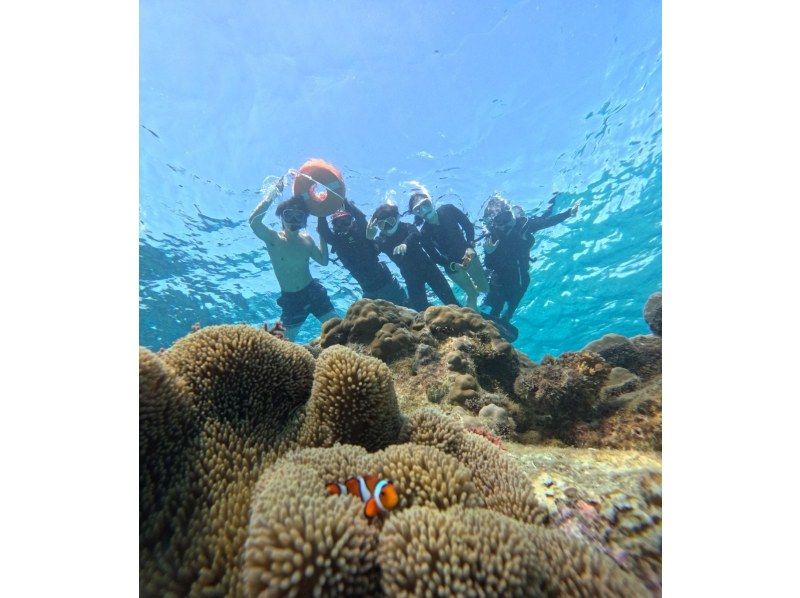 【沖縄・宮古島(伊良部島)】保育士ガイドによる1組限定の貸切サンゴ&お魚シュノーケルツアー（ツアー後の預かり保育も可）の紹介画像