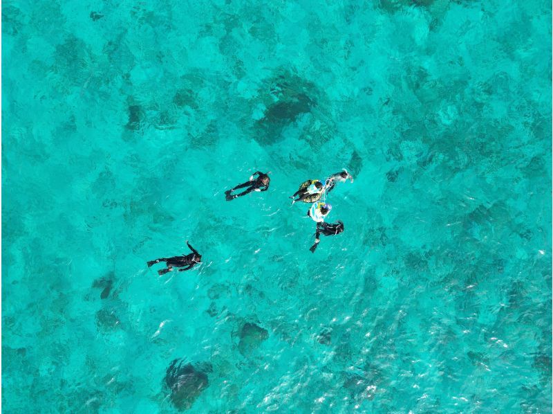 【沖縄・宮古島(伊良部島)】保育士ガイドによる1組限定の貸切サンゴ&お魚シュノーケルツアー（ツアー後の預かり保育も可）の紹介画像