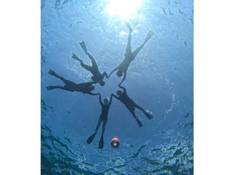 【沖縄・宮古島(伊良部島)】保育士ガイドによる1組限定の貸切サンゴ&お魚シュノーケルツアー（ツアー後の預かり保育も可）の紹介画像