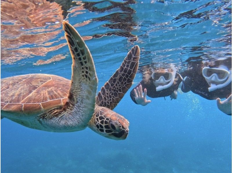 【青の洞窟/竹富島】新プラン！竹富島往復船チケット付き＆ウミガメシュノーケル★当日予約2～75歳OK 〈写真データ無料〉体験時間1.5時間の紹介画像