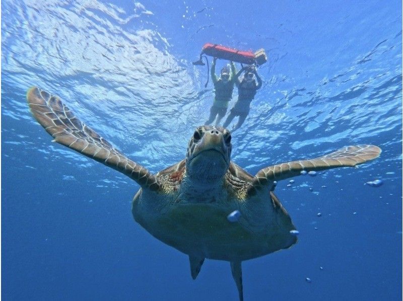 【青の洞窟/竹富島】新プラン！竹富島往復船チケット付き＆ウミガメシュノーケル★当日予約2～75歳OK 〈写真データ無料〉体験時間1.5時間の紹介画像