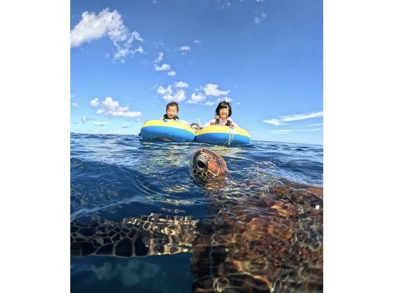 【石垣島】★4年連続ウミガメ遭遇率100％継続中★《ウミガメシュノーケル》2歳〜70歳OK・当日予約・4K動画&写真無料・初心者大歓迎の紹介画像