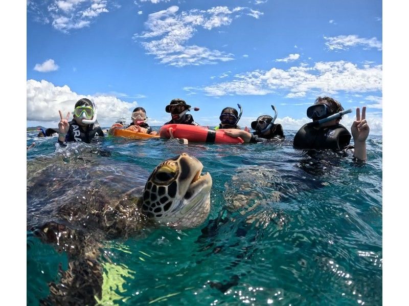 【石垣島】★4年連続ウミガメ遭遇率100％継続中★《ウミガメシュノーケル》2歳〜70歳OK・当日予約・4K動画&写真無料・初心者大歓迎の紹介画像