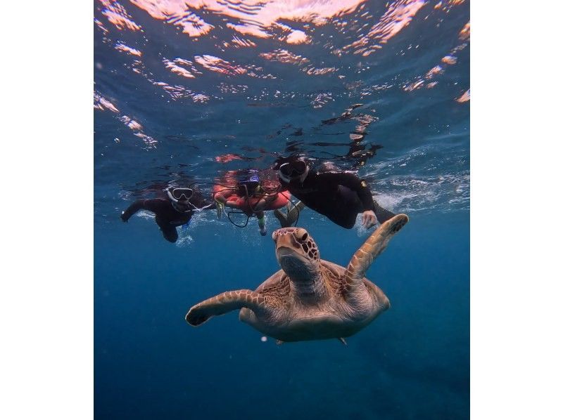【石垣島】★4年連続ウミガメ遭遇率100％継続中★《ウミガメシュノーケル》2歳〜70歳OK・当日予約・4K動画&写真無料・初心者大歓迎の紹介画像