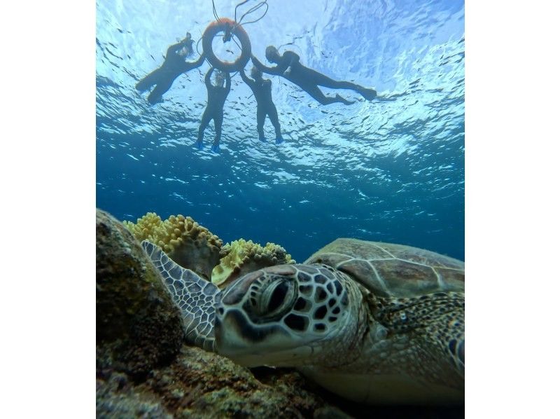 【石垣島】★4年連続ウミガメ遭遇率100％継続中★《ウミガメシュノーケル》2歳〜70歳OK・当日予約・4K動画&写真無料・初心者大歓迎の紹介画像