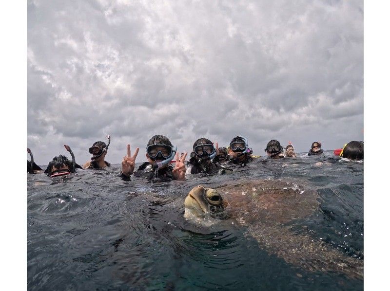 【石垣島】★4年連続ウミガメ遭遇率100％継続中★《ウミガメシュノーケル》2歳〜70歳OK・当日予約・4K動画&写真無料・初心者大歓迎の紹介画像