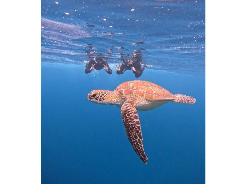 【石垣島】★4年連続ウミガメ遭遇率100％継続中★《ウミガメシュノーケル》2歳〜70歳OK・当日予約・4K動画&写真無料・初心者大歓迎の紹介画像