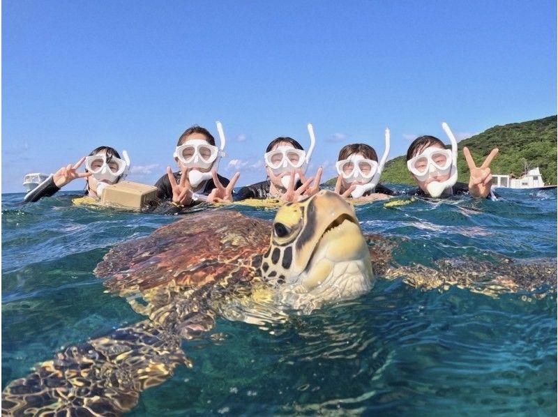 【超お得！竹富島往復船チケット付き】幻の島上陸＆高確率で会えるウミガメシュノーケル☆GoProデータ・機材無料〈当日予約・0〜85歳OK〉の紹介画像