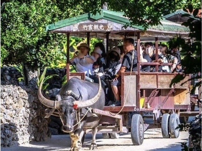 【竹富島/幻の島】超お得！竹富島往復船チケット付き☆幻の島上陸＆高確率で会えるウミガメシュノーケル｜当日予約・0〜85歳OKの紹介画像