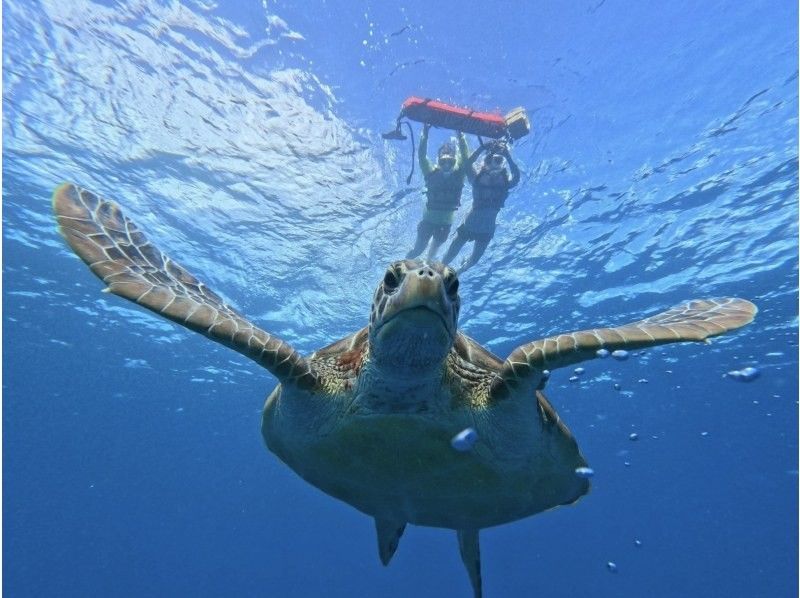 【超お得！竹富島往復船チケット付き】幻の島上陸＆高確率で会えるウミガメシュノーケル☆GoProデータ・機材無料〈当日予約・0〜85歳OK〉の紹介画像