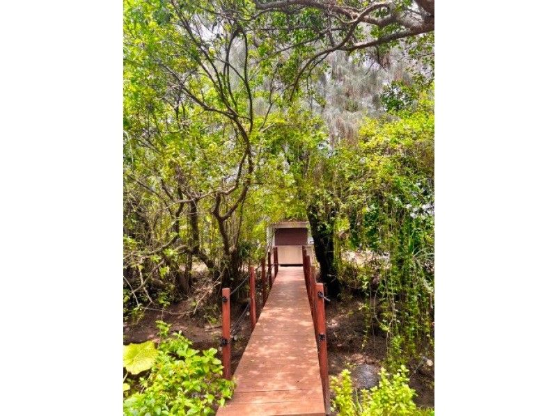 【新規割】石垣島をカヤックで冒険。ドローン撮影で一生モノの思い出を。遊び終えたらサウナとシャワーでリフレッシュ！設備充実で安心。の紹介画像