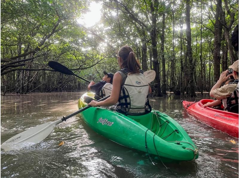 【石垣島マングローブカヤック】吹通川のトンネルを探検｜木漏れ日・自然の音・生き物との出会い｜写真動画無料の紹介画像
