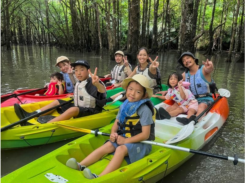 【石垣島マングローブカヤック】吹通川のトンネルを探検｜木漏れ日・自然の音・生き物との出会い｜写真動画無料の紹介画像