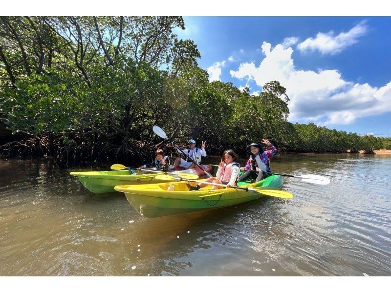 【石垣島マングローブカヤック】吹通川のトンネルを探検｜木漏れ日・自然の音・生き物との出会い｜写真動画無料の紹介画像