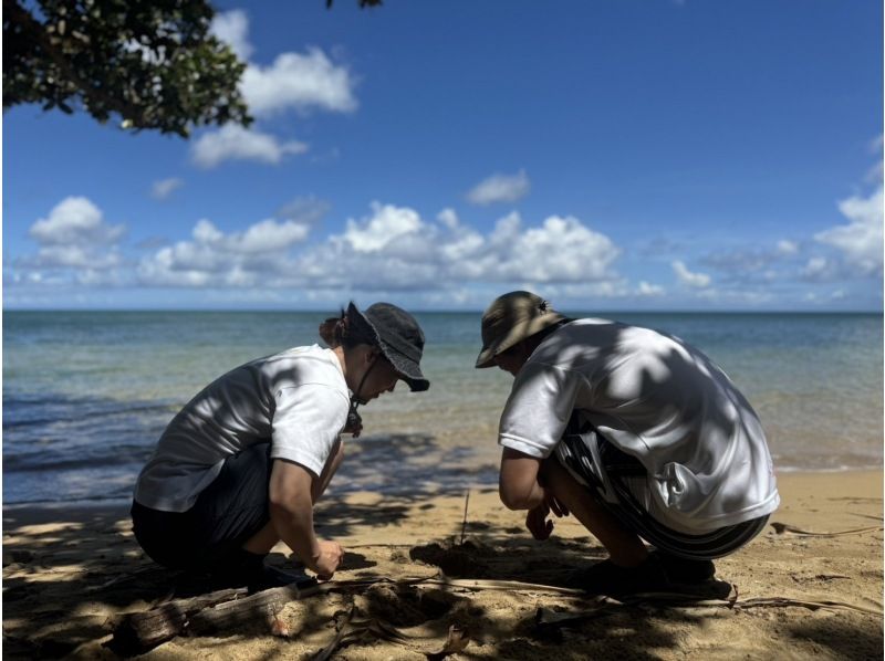 【石垣島マングローブカヤック】吹通川のトンネルを探検｜木漏れ日・自然の音・生き物との出会い｜写真動画無料の紹介画像