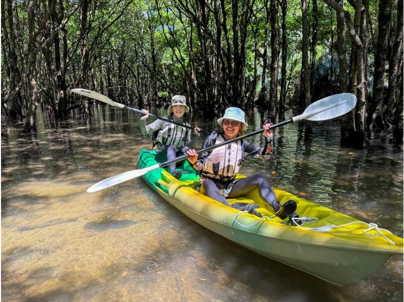 【石垣島マングローブカヤック】吹通川のトンネルを探検｜木漏れ日・自然の音・生き物との出会い｜写真動画無料の紹介画像