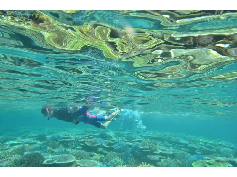 【石垣島SUPシュノーケル】秘境ポイントでサンゴ礁と熱帯魚を満喫｜器材無料・写真動画無料・ドローン空撮無料の紹介画像