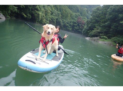 ⭐︎期間限定⭐︎【東京・奥多摩】わんちゃんと一緒に!白丸湖でDOG SUPツアー 写真データ付☆ ⭐︎期間限定⭐︎【東京・奥多摩】わんちゃんと一緒に!白丸湖でDOG SUPツアー 写真データ付☆