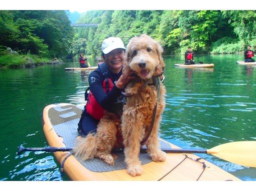⭐︎期間限定⭐︎【東京・奥多摩】わんちゃんと一緒に!白丸湖でDOG SUPツアー 写真データ付☆ ⭐︎期間限定⭐︎【東京・奥多摩】わんちゃんと一緒に!白丸湖でDOG SUPツアー 写真データ付☆