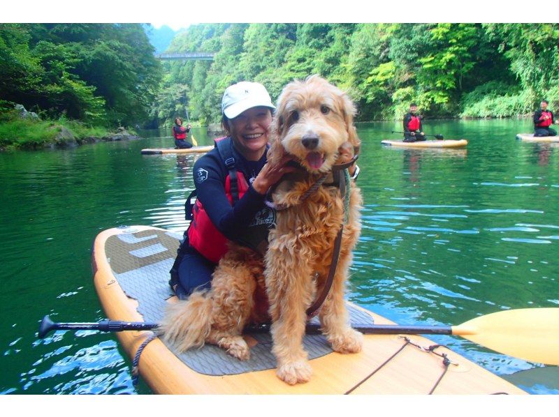 ⭐︎期間限定⭐︎【東京・奥多摩】わんちゃんと一緒に！白丸湖でDOG SUPツアー　写真データ付☆の紹介画像