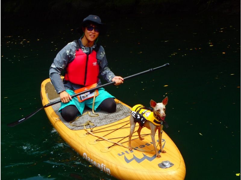 ⭐︎期間限定⭐︎【東京・奥多摩】わんちゃんと一緒に！白丸湖でDOG SUPツアー　写真データ付☆の紹介画像