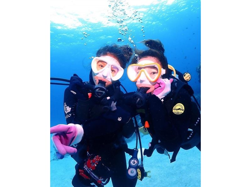 【沖縄・那覇発 慶良間諸島】ケラマ（チービシ）半日体験ダイビングの紹介画像