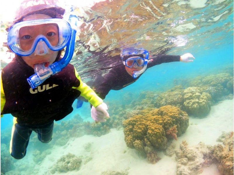 [คาโกชิมา・ Amami Oshima 】ดำน้ำตื้น 1 วัน! ไปดูปะการังและเต่าทะเลกัน! (พร้อมบริการอาหารกลางวัน)の紹介画像