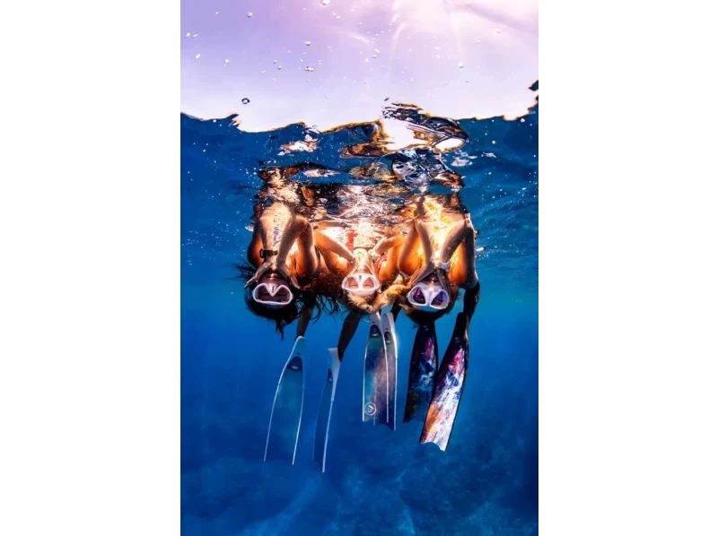 【沖縄・那覇発 慶良間諸島】半日ケラマ（チービシ）スキンダイビングの紹介画像