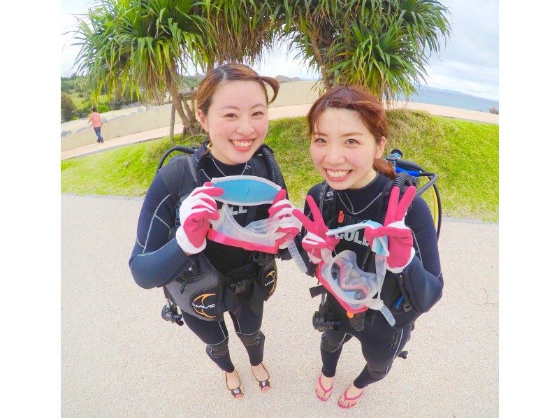 【沖縄・本部】貸切体験ダイビング（ビーチ）崎本部　美ら海水族館、ジャングリア近くの紹介画像
