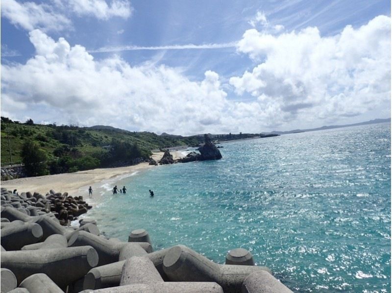 【沖縄・本部】貸切体験ダイビング（ビーチ）崎本部ゴリラチョップ　名護の紹介画像