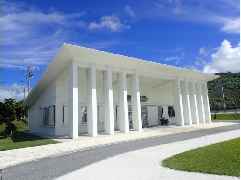 【沖縄・本部】貸切体験ダイビング（ビーチ）崎本部ゴリラチョップ　名護の紹介画像