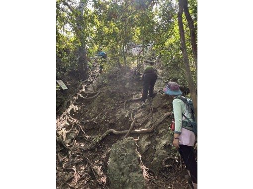【鳥取県・三徳山】2~3名様で貸し切りガイド!日本一危険な国宝・三徳山なげいれ堂への修験道を体験&参拝してみよう 【鳥取県・三徳山】2~3名様で貸し切りガイド!日本一危険な国宝・三徳山なげいれ堂への修験道を体験&参拝してみよう