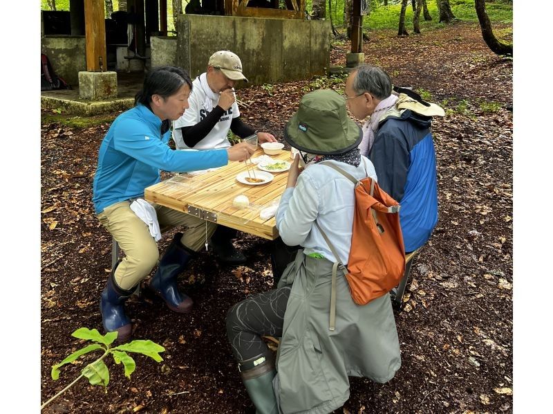 山菜採集体験の紹介画像